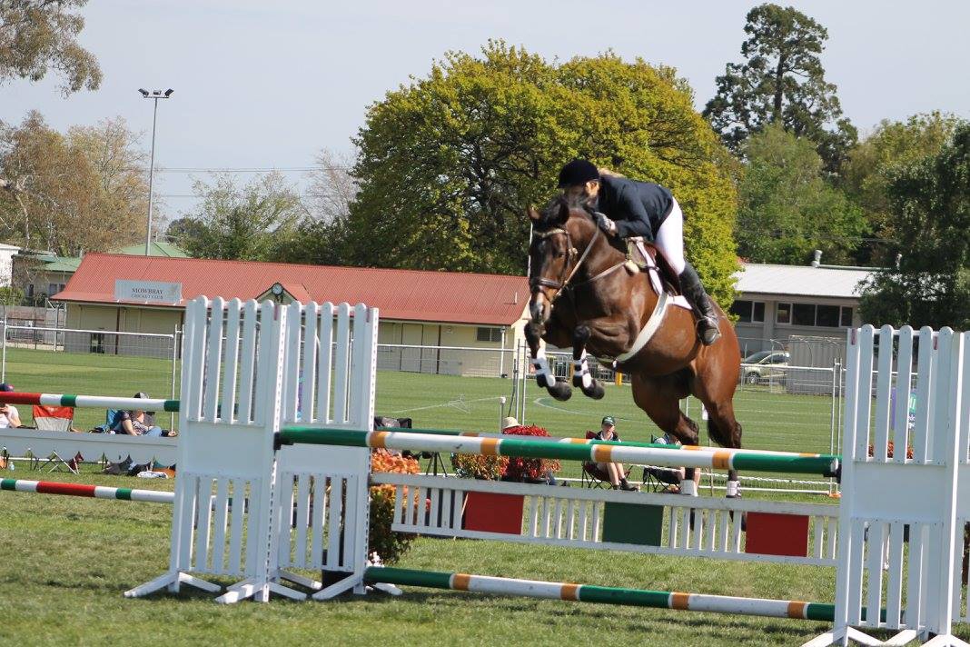 Royal Launceston Show 2016 | Show Horse Tasmania